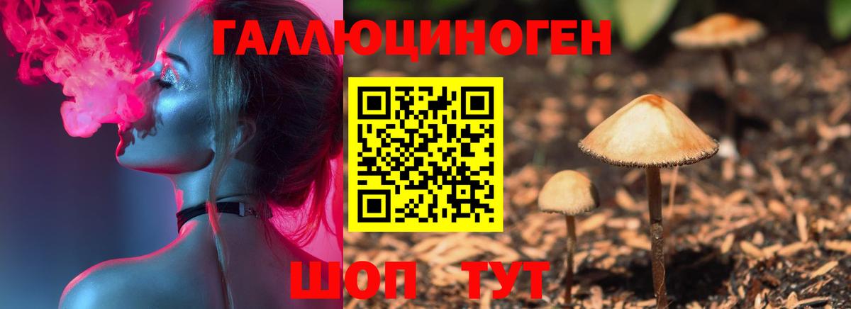 хочу наркоту  Вход с VPN  Псилоцибиновые грибы мицелий  Новоалтайск  Галлюциногенные грибы Magic Shrooms 